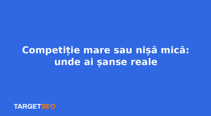 Competiție mare sau nișă mică: unde ai șanse reale